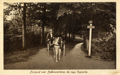 15239 Gezicht op een fietspad met rijen loofbomen te Lage Vuursche (gemeente Baarn); met een ossenwagen.